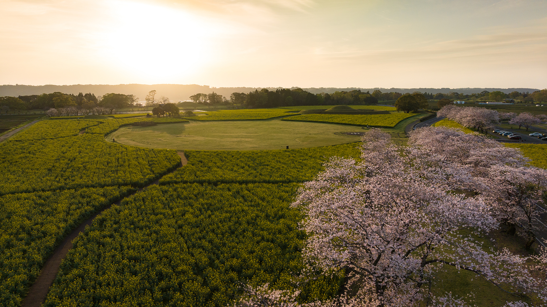 西都エネルギーの画像